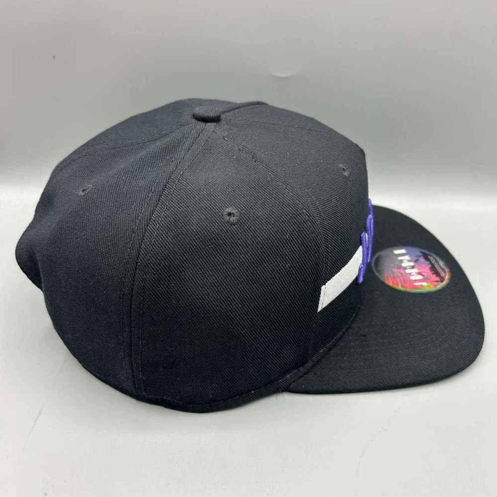 Air Jordan Hat Men Black Purple Embroidered Jumpman Snap Back Cap